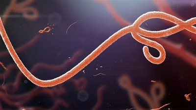 بعد غياب 22 سنة جائحة إيبولا تعود من جديد!