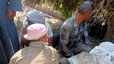 بالصور.. إصابة عامل سقط من أعلى نخلة بالعياط 