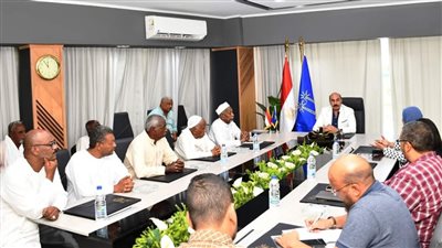 محافظ أسوان: لا مجال لتأخر تنفيذ المشروعات الجارية