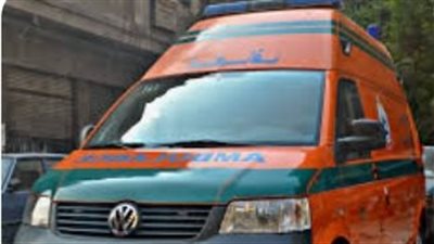 مريض بالصرع ينهي حياة شقيقه الطفل بطريقة بشعة في العجوزة 