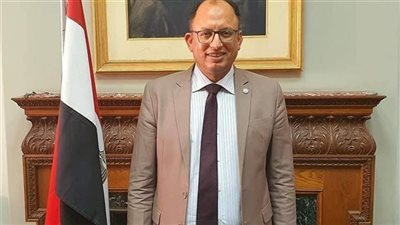 الدكتور سيد قنديل رئيسًا لجامعة حلوان