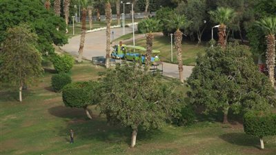 حقيقة ارتفاع أسعار تذاكر الحديقة الدولية وإزالة أشجارها.. محافظة القاهرة توضح