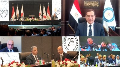 وزير البترول يعتمد ميزانية شركة أموك بأرباح 262% 