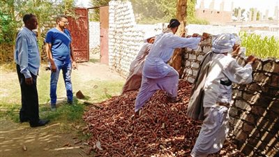 إزالة 10 حالات تعدى على الأراضى الزراعية بالعباسية بكوم أمبو 