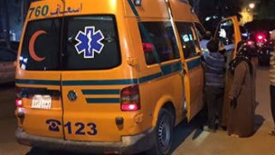 إصابة طفلين فى حادث بشع بأسوان 
