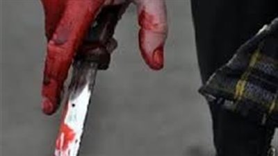 عاطل يقتل صديقه طعنا بسلاح أبيض في المرج.. والنيابة تصدر قرارها