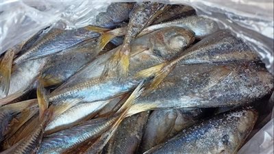 3 اختلافات تكشف لك الفرق بين الأسماك الطازجة والتالفة 