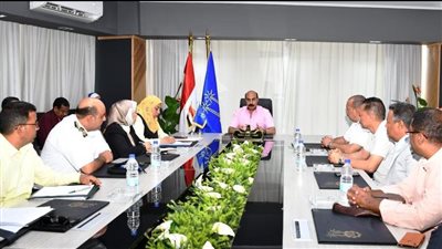 تعليمات صارمة من محافظ أسوان بشأن الاحتفال بمهرجان تعامد الشمس