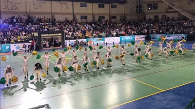 اليوم.. ختام بطولة العالم لكرة السرعة الدائرية بالغردقة