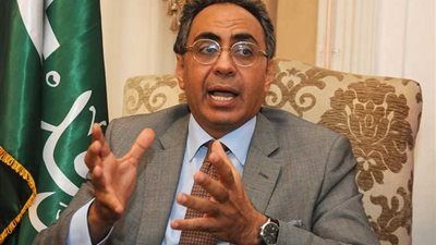 هاني سري الدين: آليات جذب الاستثمارات الأجنبية في مصر تحتاج لإعادة نظر 