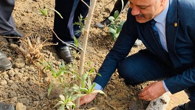 تدشين مبادرة مصر الخضراء من مدارس الإسكندرية