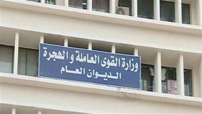 القوى العاملة بالقليوبية: فرص عمل للمؤهلات العليا والمتوسطة