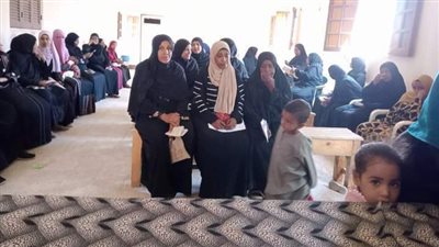 جلسات الدوار تواصل فعالياتها فى قرى ومراكز أسوان