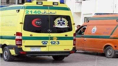 بالأسماء.. إصابة رجل وشاب في حادث آليم بأسوان