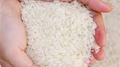 محافظ دمياط: توزيع أرز بسعر 15 جنيها بالمنافذ 