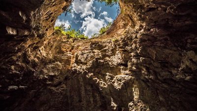 صدق أو لا تصدق.. غابة خيالية داخل حفرة بعمق 630 قدم بالصين