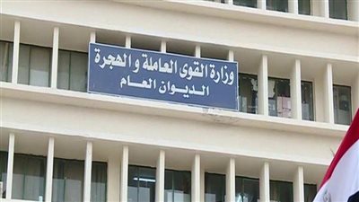 براتب3000 آلاف جنيه.. فتح باب التقديم للعمل في مؤسسة التضامن الأصغر 