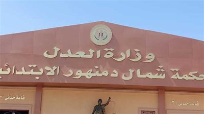 السجن 10 سنوات لمتهم و3 سنوات لشقيقيه في البحيرة 