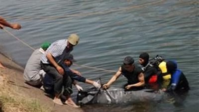 عجوز يتخلص من حياته بإلقاء نفسه في ترعة بالغربية