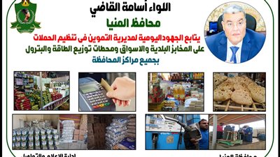 تحرير 10 مخالفات تموينية متنوعة في مركز مغاغة بالمنيا 