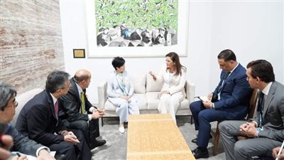  وزيرة التخطيط تلتقي محافظ العاصمة اليابانية طوكيو