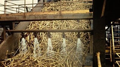 أهم 10 سلع تصدرها مصر إلى الدنمارك