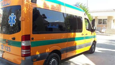 حادثان مروعان يتسببان في كارثة لـ«طفل ورجل» بأسوان.. اعرف التفاصيل