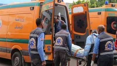 بالاسم.. مصرع عامل بـ«حياة كريمة» فى أسوان