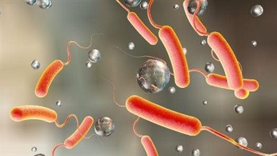 لبنان: تطعيم 34 ألف شخص ضد الكوليرا فى يوم واحد