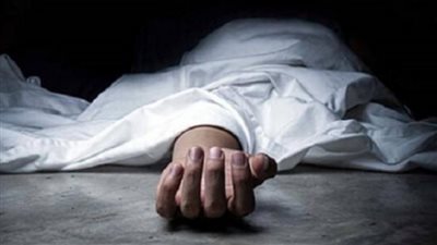 بالاسم والصورة.. مصرع أب وابنه وابن أخيه في حادث بشع بمركز كرداسة