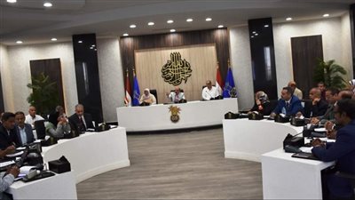 محافظ أسوان في اجتماع المجلس الاقتصادي الاجتماعي: ليس أمامنا غير النجاح