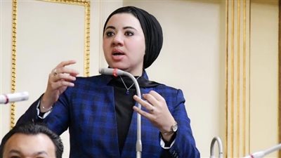 أميرة صابر: ملف التغيرات المناخية يستلزم تشريعات ورقابة على الحكومة وخاصة في التخطيط