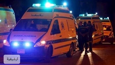 بالأسماء.. حادث أليم أمام قرية بـ«أبو الريش» فى أسوان