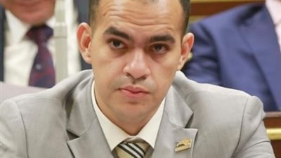 عضو بـ«النواب»: الشعب المصري لفظ الإخوان منذ سنوات بلا عودة