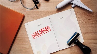 امرأة تخسر الجنسية السويسرية مرتين بسبب سباق الخنازير!