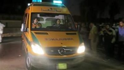 بالأسماء.. مصرع أمين شرطة وآخر فى حادث مروع بأسوان