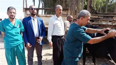غدًا.. انطلاق فعاليات الحملة القومية لتحصين الثروة الحيوانية فى أسوان