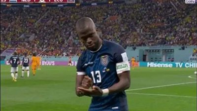 تعادل بين هولندا والإكوادر.. وقطر تودع كأس العالم 