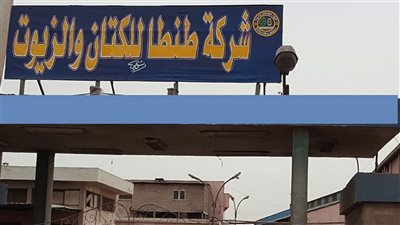 بالأسماء.. تورط الكبار في إهدار مئات الملايين بعملية استرداد «طنطا للكتان والزيوت» 