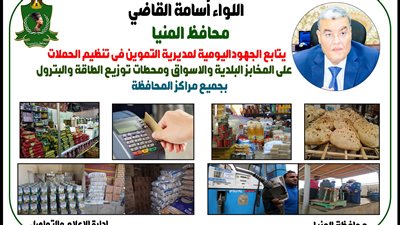 محافظ المنيا يتابع جهود «التموين» فى الرقابة على الأسواق وتحرير 62 مخالفة