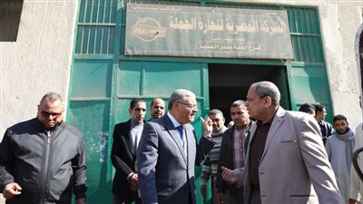 محافظ المنيا يقود جولة تفقدية لمتابعة الخدمات العامة المقدمة للمواطنين 