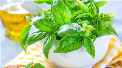 هذا ما يحدث للجسم عند تناول الريحان