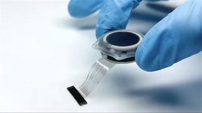 كيف يمكن أن تعمل رقاقة إيلون ماسك في الدماغ؟