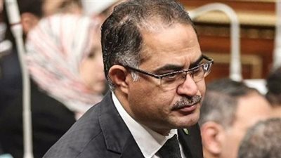 النائب سليمان وهدان يكشف أهداف القمة العربية الصينية الأولى بالرياض بمشاركة مصر