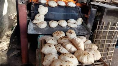 حملات تموينية بالمنوفية تكشف 