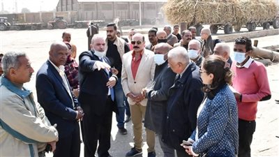 محافظ أسوان يوجه بتوريد محصول قصب السكر إلى المصانع