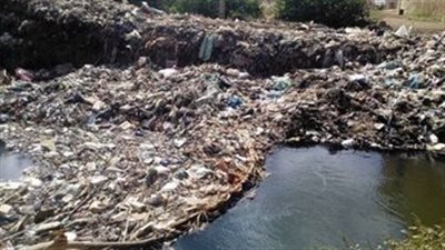 استغاثة.. القمامة تحاصر أهالى قرية مشلة بالغربية 