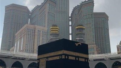 زيارة النبى والعمرة حلم الغلابة استغلها النصابين على