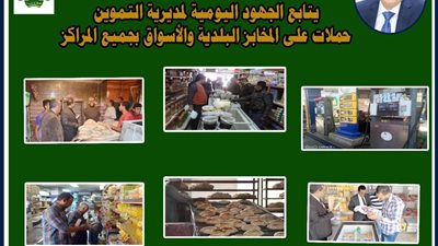 تحرير 67 مخالفة تموينية خلال حملات رقابية وتفتيشية بمراكز المنيا