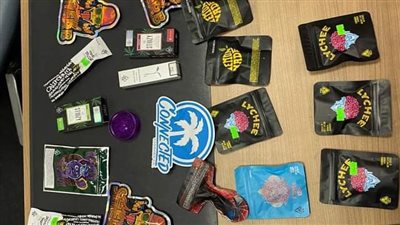 5 يناير أولى جلسات محاكمة الفنانة منة شلبى أمام الجنايات